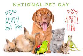 But let's be honest, every day is national pet day because pets are the best! Uzivatel National Pet Day Na Twitteru Nationalpetday Taking The World By Storm Trending Worldwide At 2 Show Us Your Pets