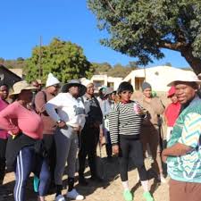 Image result for Kampochloa