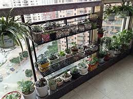 Finally, we have the hanging baskets, ideal for orchids like vanda , that the roots should not be put inside a pot. Zhdc European Style Iron Railings Flower Racks Suspension Balcony Wall Flower Pot Shelf Simple Green Dill Hanging Orchid Stable Strong Save Space Size 80 20 12cm Buy Online In Andorra At