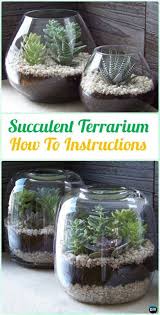 Closed terrariums have a small opening, and they are suitable for plants that like humidity, like ferns and insectivorous plants, or plants that come from rainforests. 50 Beautiful Succulent Garden Ideas Varieties Succulent Garden Indoor Outdoor Succulent Garden Indoor Succulents Indoor Succulents Diy