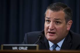 Primary Races Could Result In Political Shakeup