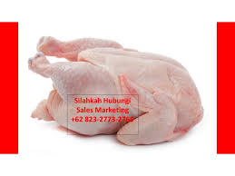 Sementara itu, aroma khas dari daging ayam segar pasti sangat terasa. Wa 62 823 2773 2765 Gambar Daging Ayam Potong Segar