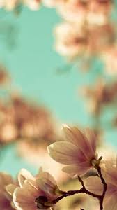 خلفيات جالكسي فايف طبيعه 2014 galaxy 5 wallpapers nature 2015 pictures decoupage paper background