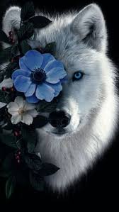 Mobil Duvar Ka��tlar�