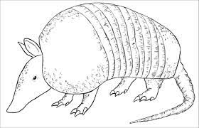 It's your blank page, dashboard, or gateway to the web. Printable Armadillo Coloring Page Coloringbay