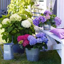 Ab Ins Beet 13 Hilfreiche Gartentipps Wohnidee De Garten Ab Ins Beet Gartentipps
