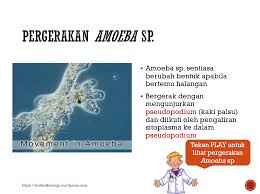 Dalam hidupnya, manusia bergantung pada alam. Wickedbiology Posts Facebook