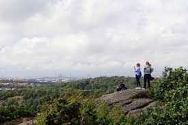 Wer göteborg einen besuch abstattet sollte den botanischen garten unbedingt mit in das programm aufnehmen. Botanischer Garten In Goteborg Viele Fotos Schwedentipps Se