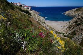 Ce mercredi 30 juin, un homme de 70 ans est parti se baigner en contrebas du camping municipal de cerbère, avant de se. Cerbere Banyuls Reserves Naturelles De France