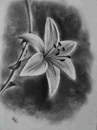 You can use a variety of other tools to make some truly stunning effects with charcoal. Easy Charcoal Drawings For Beginners Novocom Top