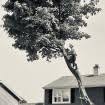 All things greater quad cities related. The 5 Best Tree Shrub Services In Quad Cities Locals Love Us