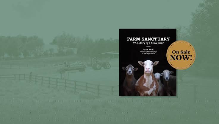 Farm Sanctuary | We Envision a World Where Sanctuary Replaces Exploitation