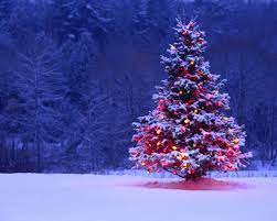 We did not find results for: 72 Winter Christmas Desktop Backgrounds On Wallpapersafari
