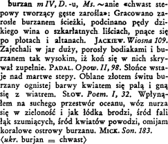 Гку «центр занятости населения г. Burzan Wielki Slownik W Doroszewskiego Pwn