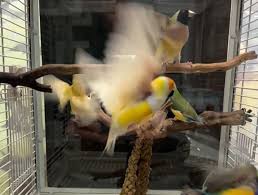 Doris Ettlinger Studio added a...