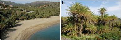 The upgrade tree allows you to click to get more funds. Plant Biogeography And Vegetation Patterns Of The Mediterranean Islands Springerlink