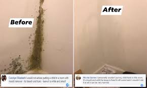 Peeling wallpaper can also be a symptom of mold. Mother Removes Black Mould From Baby S Room In An Hour But Parents Warn Of Harmful Toxins Daily Mail Online