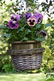 Pin On Hanging Gardens