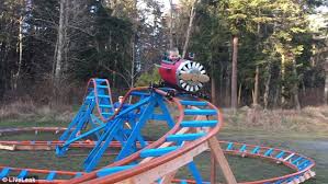 With the help of friends and family, he started the project back in march and finished in july. Father Builds His Toddler A Backyard Roller Coaster Daily Mail Online