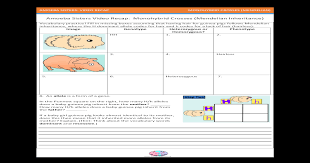 Amoeba sisters monohybrid worksheet answers / mitosis. Amoeba Sisters Video Recap Monohybrid Crosses Mendelian Amoeba Sisters Video Recap Monohybrid