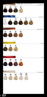 L Oreal Professionnel Dia Light Color Chart August 2014 Loreal Hair Color Chart Loreal Hair Color Light Hair Color