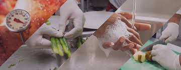 Image result for food safety