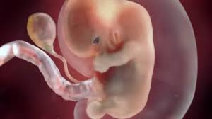 Usia kehamilan 12 minggu (kandungan 3~4 bulan) perkembangan janin dan kondisi bumil. 13 Hal Ini Bumil Rasakan Saat Hamil 2 Bulan Teramsuk Kondisi Janin Theasianparent Indonesia