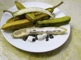 Maybe you would like to learn more about one of these? Ice Cream Bean Tree Care How To Grow An Ice Cream Bean Tree
