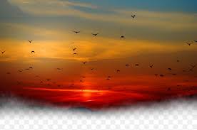 This file was uploaded by lksdowtegam and free for personal use only. Sunset Sky Cloud Png 1200x796px Sunset Afterglow Atmosphere Calm Cloud Download Free