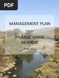 Image result for Zornia punctatissima