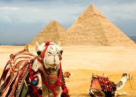 Saddle up and ride into the desert for an unforgettable day of sightseeing. Camel Ride At The Pyramids Excursion In Cairo Egypt Holiday Travel