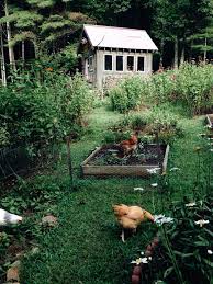 Eggs And Exploring Pinterest Thebeeskneez Garden Gazebo Cottage Garden Allotment Gardening