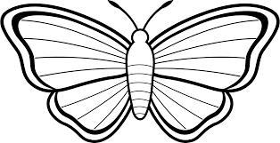 999+ images to choose from. Best Butterfly Clipart Black And White 15156 Clipartion Com