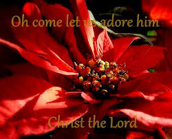Oh Come Let Us Adore Him By Karen Cook True Meaning Of Christmas Meaning Of Christmas Adorable