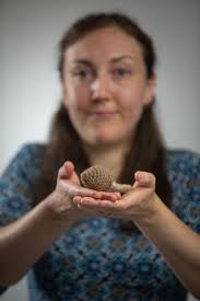 Psychedelics Have Huge Potential