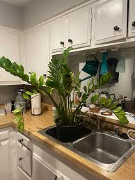 We did not find results for: Puri7puds0fjrm