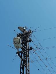 Maybe you would like to learn more about one of these? Kirklareli Dkmp Kizilcikdere Koyunde Elektrik Arizasi Facebook