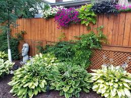 See 42 unbiased reviews of oasis paradise, rated 4 of 5 on tripadvisor and ranked #201 of 402 restaurants in salou. Making Paradise In Ontario Finegardening