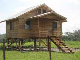 Cabin On Stilts Love This Small Cabin On Stilts House On Stilts Small House Tiny House Cabin