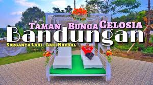 Wisata Taman Bunga Celosia Bandungan Kabupaten Semarang Recomended Untuk Prewedding Full View Youtube