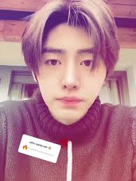 Enhypen Sunghoon Penghonie