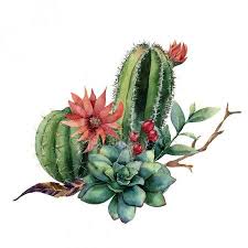 Green succulent with red flowers. Pin On Dibujar Y Pintar