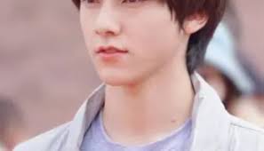 Luo Ming Jie (Chinese Idol/Actor) ⋆ Global Granary