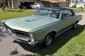Image result for Palmetto Green 1965 GTO