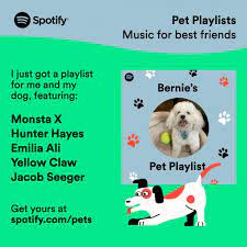 To create a custom playlist for your pet, go to pets.byspotify.com/ and pick your pet. Spotify Has The Pawfect Playlist For You And Your Pet Spotify