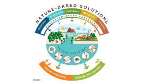 Cem Work On Nature Based Solutions Iucn