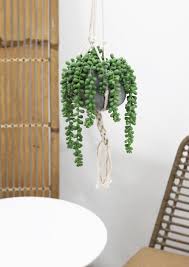 Pot de fleur lumineux exterieur meilleur de vase lumineux. Plante Artificielle Salle De Bain Au Meilleur Prix Leroy Merlin