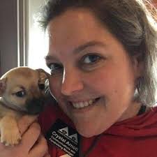 Working Dog Home Inspection, 6 Hunter Dr, Raymond, NH 03077, US