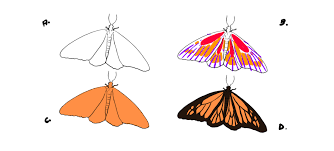 Dessin n`a pas vraiment venu naturellement à. Realiser Un Dessin De Papillon Dessindigo