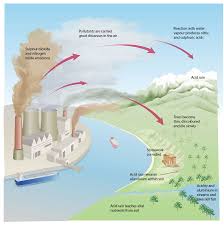 Image result for images rain water acidity